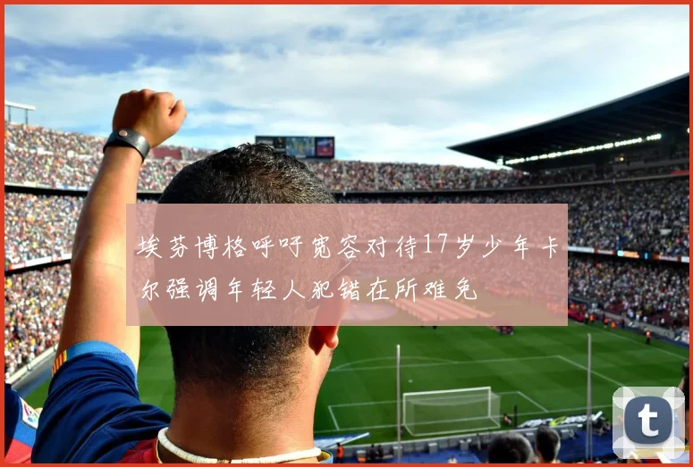 埃芬博格呼吁宽容对待17岁少年卡尔强调年轻人犯错在所难免