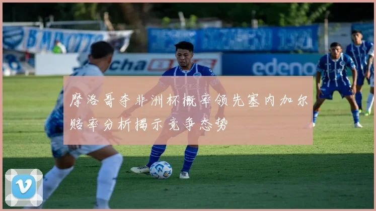 摩洛哥夺非洲杯概率领先塞内加尔赔率分析揭示竞争态势